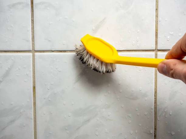 Best Insurance-Related Mold Remediation in Fort Hunt, VA