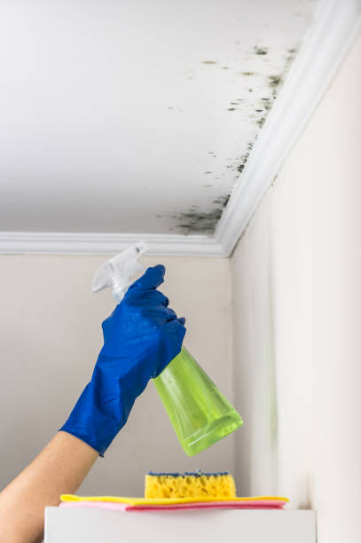 Fort Hunt, VA Mold Remediation Company